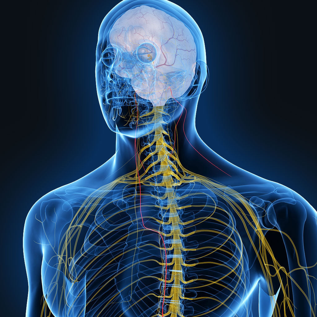 vagus nerve stimulation for health